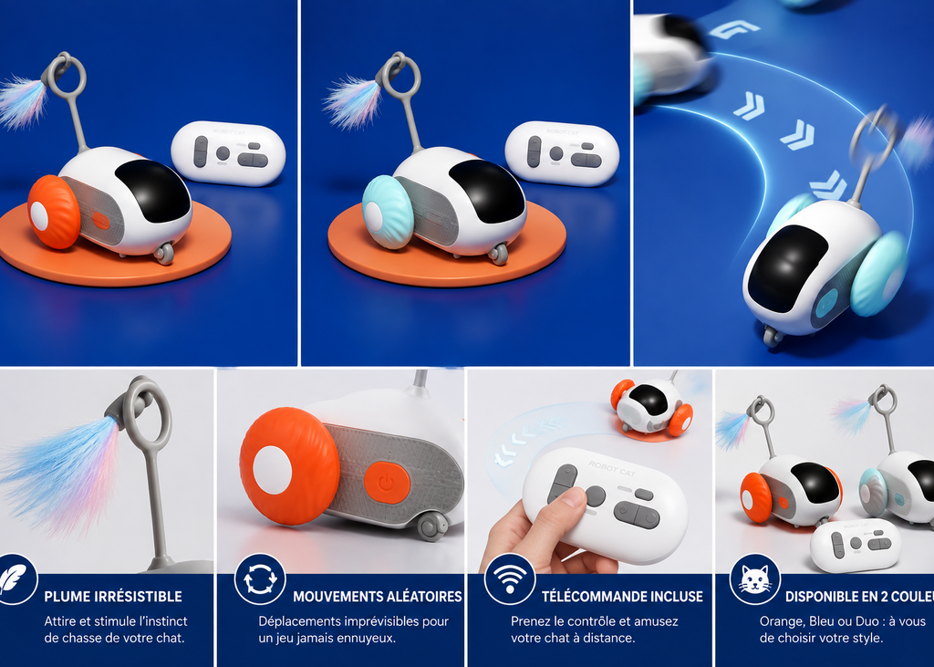 Le Bolide à Moustaches – Jouet interactif pour chat