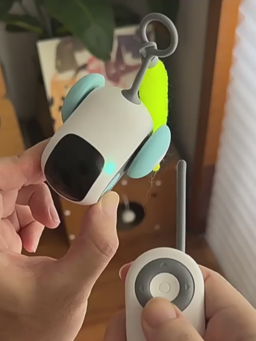 Le Bolide à Moustaches – Jouet interactif pour chat