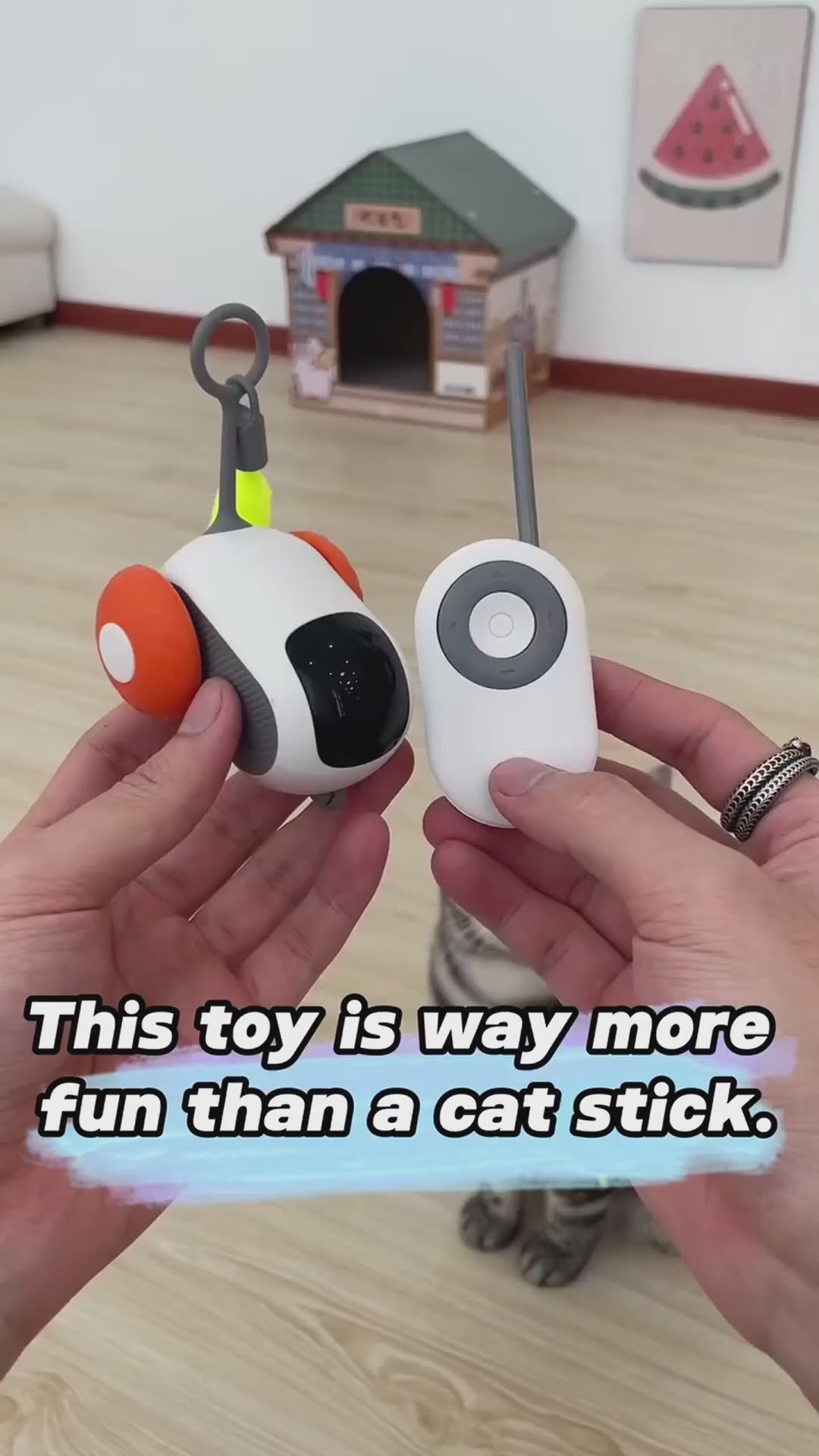 Le Bolide à Moustaches – Jouet interactif pour chat